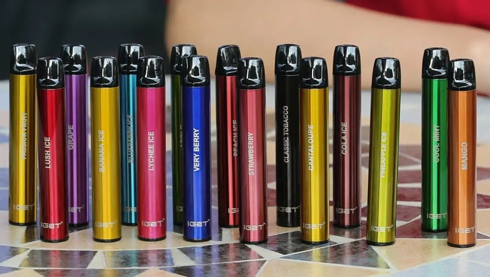 The Allure of the Grape Escape: Unpacking the IGET Shion 600 Puffs Disposable Vape Experience