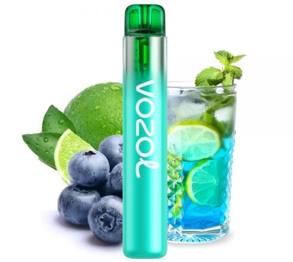 The Art of the Easy Refresh: Exploring the VOZOL NEON 800 Puffs Vape - BLUE MOJITO in Aotearoa